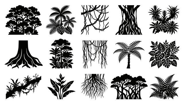Jungle Flora  Fauna Silhouettes: Trees, Roots, Vines, Plants, Nature Graphics