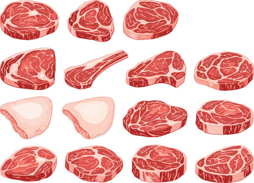 Raw meat cuts set beef pieces collection butcher diagram fresh protein food vector illustration isolated [Converted].eps