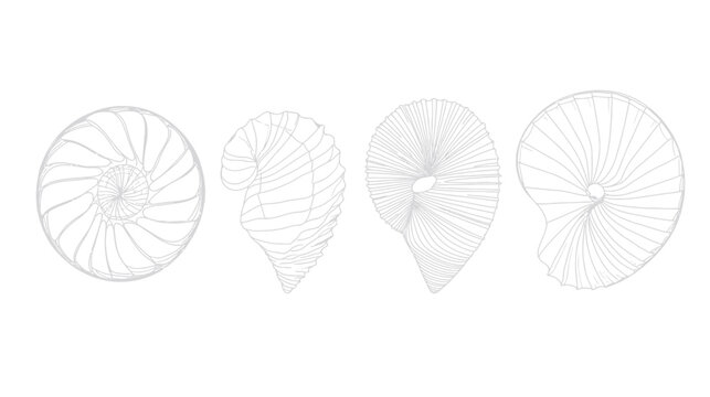 Gray line drawings of spiral and curved forms against a white background