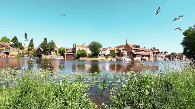 4K video of modern architecture with birds flying around buildings, showcasing urban skyline, nature interaction, and cinematic city atmosphere in high-resolution footage.