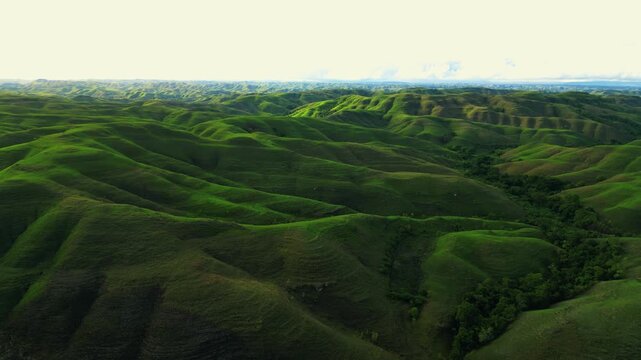 Rolling Grassland Savanna of Tanau Hill at Sunset, East Sumba, Indonesia