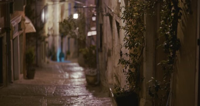 Grisia street with stone pavement and plants at night