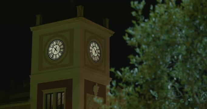 Clock tower with tree branches at night