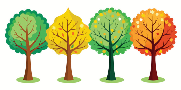 Four colorful trees changing seasons with autumn leaves