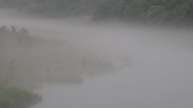濃霧に包まれた川の神秘的な風景