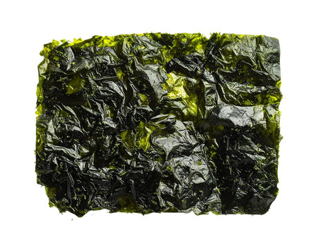 Dried dark green seaweed sheet textured surface, culinary ingredient on transparent background