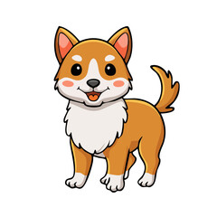 Fototapeta premium Cute cartoon Shiba Inu dog standing and smiling with fluffy white chest and alert ears