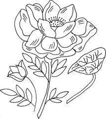 Obraz premium Hand Drawn Floral Line Art – Botanical Flower Outline Illustration