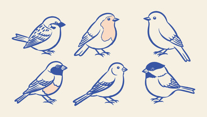 Set of six bird vector illustrations in a minimalist line art style. Representing various species like sparrows and robins for nature-themed designs © Zyariss