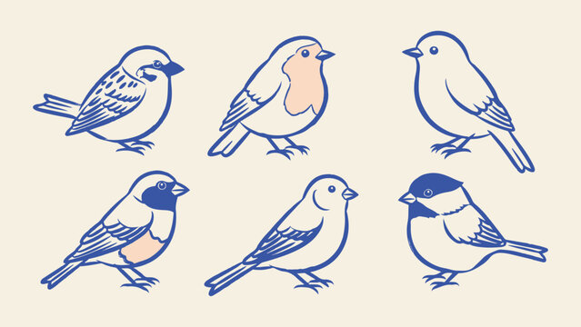 Set of six bird vector illustrations in a minimalist line art style. Representing various species like sparrows and robins for nature-themed designs