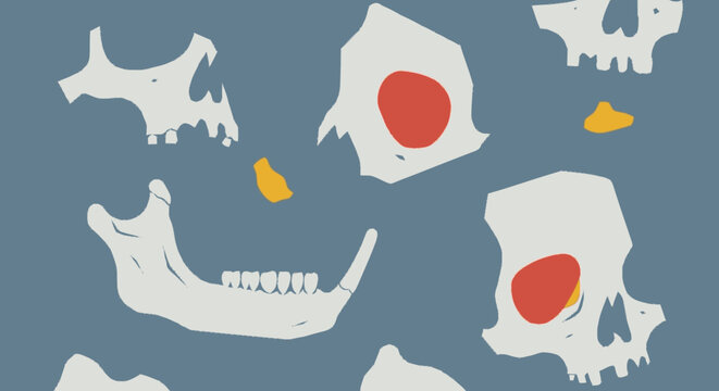 Flat design graphic of human skull and jawbone fragments