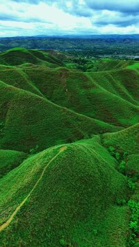 Rolling Grassland Savanna of Tanau Hill at Sunset, East Sumba, Indonesia