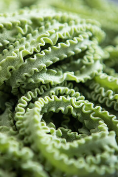 Freshly made pasta. Pasta made from durum wheat flour. Paste is green, colored with natural dyes. Healthy food. Rough surface of fresh paste. An indicator of high quality. Close-up.