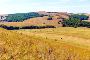 Fototapeta premium Karamurun-tau is a picturesque mountain range of the Orenburg region.