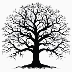 Obraz premium Silhouette of a large tree with detailed branches against a plain white background