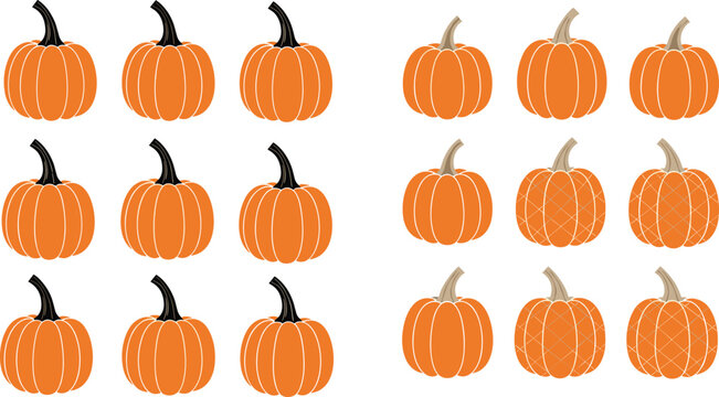 Pumpkin collection set featuring various orange gourds in simple flat vector style for autumn harvest, Halloween decoration and seasonal design