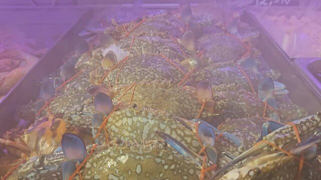 Fresh blue swimmer crabs stacked at a seafood market, mottled shells and characteristic flower crab pattern visible.