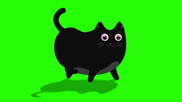 Black cartoon cat 4k stock animation video on a green screen background for chroma key background for video editing.