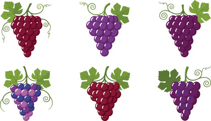 Obraz premium Red and Purple Grape Clusters Set for Fruit, Vineyard, and Agricultural Illustration Designs