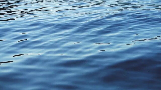 Calm deep blue water ripple along the waters of Kotor bay in Montenegro.