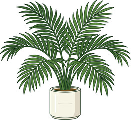 Obraz premium Green palm plant with lush fronds in a white pot, isolated on white background
