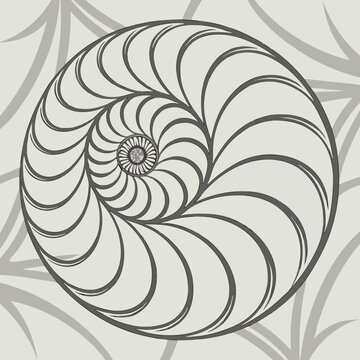 Abstract geometric spiral pattern illustration inspired by nautilus shell and golden ratio symmetry with intricate circular design elements geometric abstract nautilus symmetry decoration