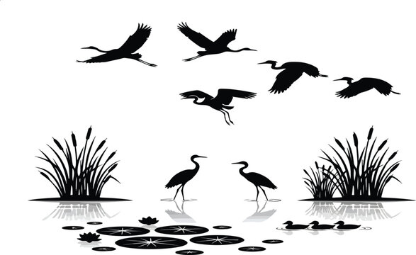 Silhouette of wetland scenery with birds, cattails, water lilies, and reeds in black and white style editable vector eps,ai.eps
