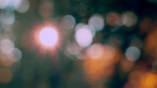 Soft glowing bokeh lights in dark natural landscape