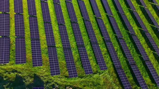 Solar panels lay arranged in rows across a green field. Sunlight shines on the panels as they convert sunlight into energy during the day.