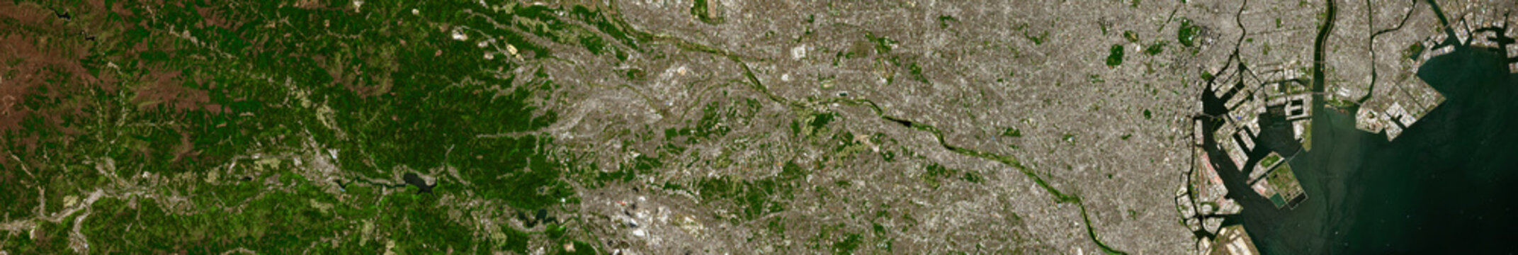 Tokyo on open data satellite image