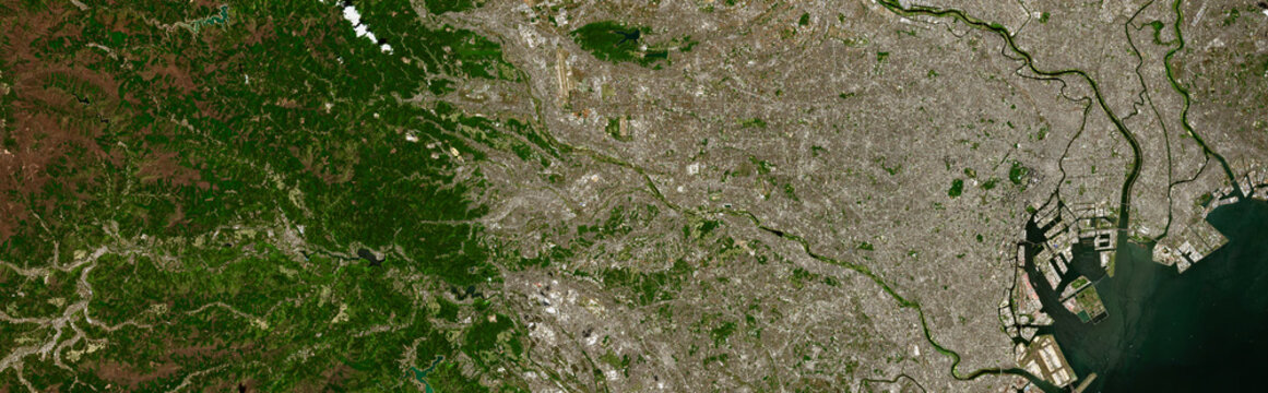 Tokyo on open data satellite image