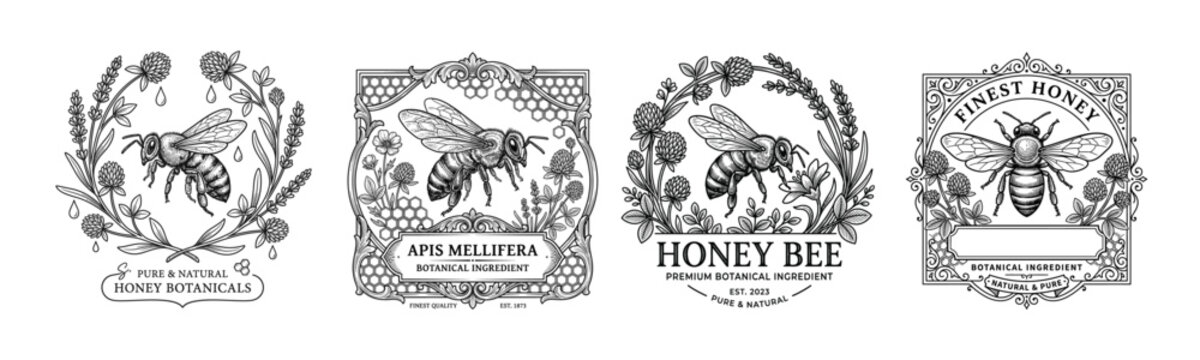 Vintage honey bee botanical label collection with floral wreaths, Apis mellifera badge, finest honey frame and ornamental packaging designs