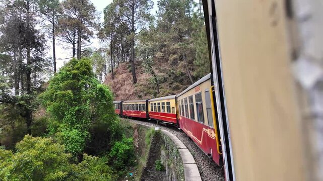 Toy train curves gracefully on viaduct through dense green trees.