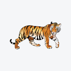 Obraz premium Tiger Logos Define Strong Brand Identity