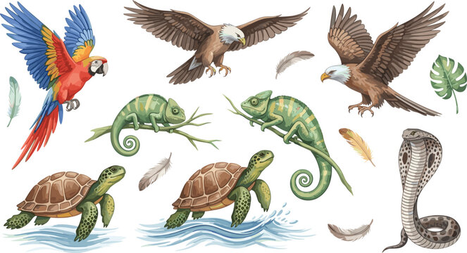 Exotic Wildlife Animals Collection Featuring Parrot, Eagle, Chameleon, Turtle and Cobra Snake in Detailed Tropical Cartoon Vector Illustration Set