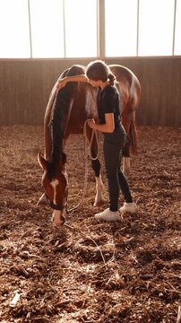 Teenage girl grooming, brushing carefully brushing brown horse's mane bay horse in indoor arena at sunset. Equestrian lifestyle, responsibility, animal care, bonding concept, teenage rider, hobby