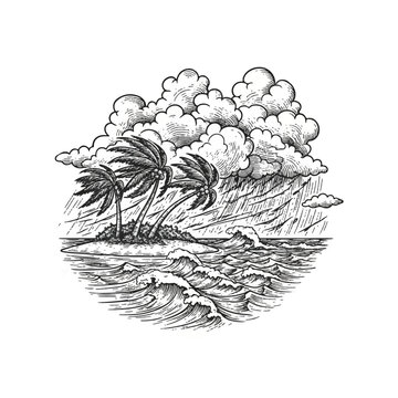 Palm trees in a stormy sea.
