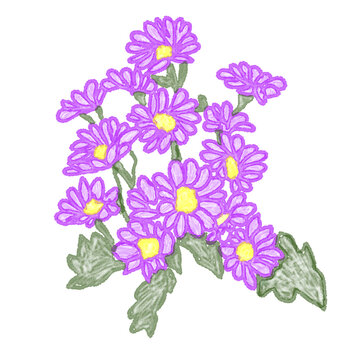 bouquet of violet flowers