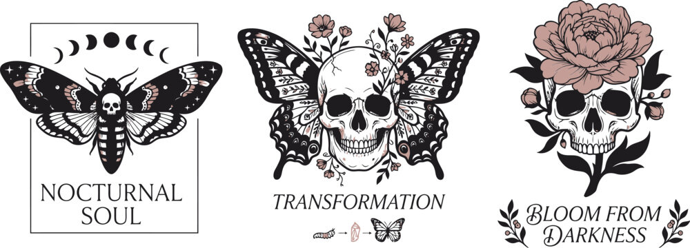 A mystical moth undergoes transformation beside a blooming skull illustration. | Collection of 3 set T-shirt design