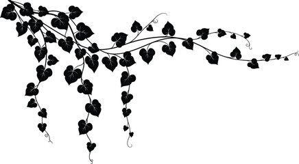Symmetrical vintage black ivy vine pattern on aged parchment paper, ornamental hand-drawn decorative border illustration. © Hosneara