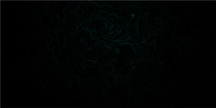 Vector Ethereal abstract glowing flora illustration amid black ambiance of the forest. 
