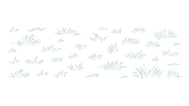 Vector line art grass bundles for garden design and natural environment illustration scenes.