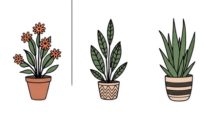 Obraz premium Three potted plants with lush green foliage for interior decor or office decoration inspiration