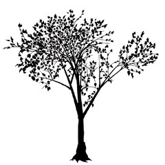 Fototapeta premium tree silhouette vector