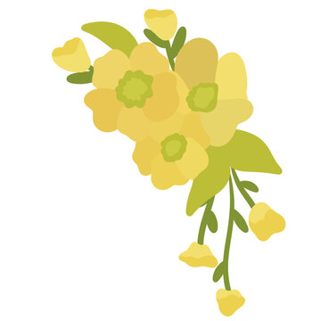 bunch of grapes isolated on white