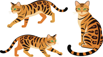 Adobe Illustrator Artwork © dx_vect