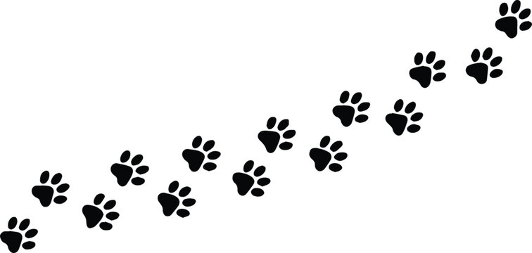 pawprint footprint path walking tracks pet silhouette icon