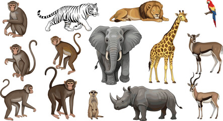 African Safari and Jungle Animal Vector Set with Elephant, Lion, Giraffe, Tiger, Rhino, Monkeys and Parrot for Wildlife Illustrations © Sirajul
