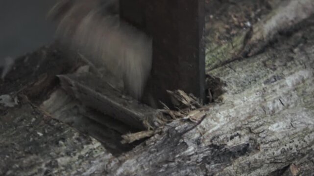 A detailed handheld close-up shot of a skilled craftsman using a traditional chisel to carve a square hole in high-quality teak wood. The footage captures the raw texture of the wood as small chips an