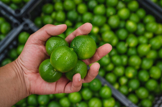 Limones